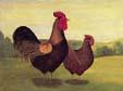 unknow artist Cock and Hen oil painting image